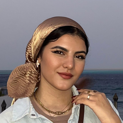 Alaa Azam