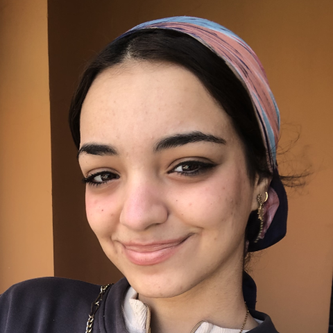 Merna Ahmed